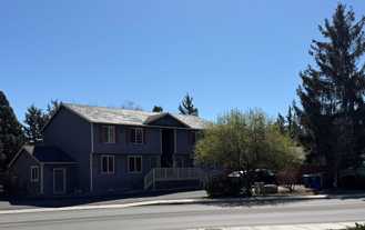 pur1350 - Photo 1 of 1