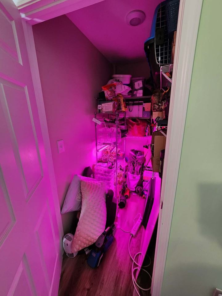 250 Clement Rd #NA - Photo 7 of 18