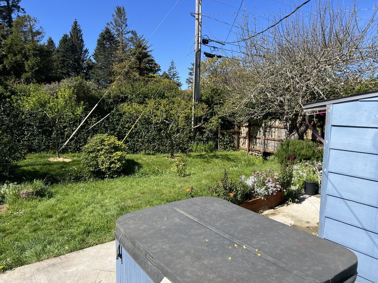 29356 Vera St #NA - Photo 4 of 22