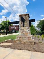 featured image of Firefly Cir #115