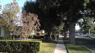 6661 Enfield Ave #NA - Photo 1 of 1