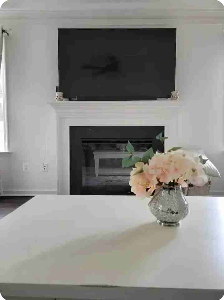 12 Belmont Pl - Photo 6 of 22