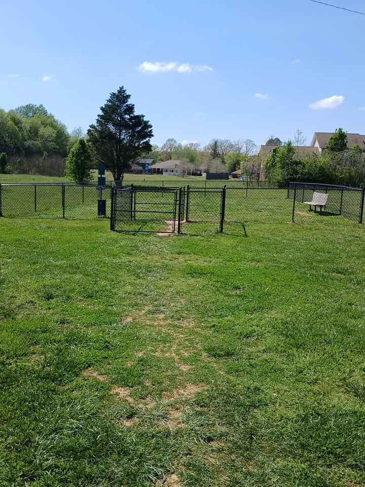 405 Oak Street - Photo 3 of 24