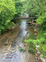 featured image of 303 Fall River Rd