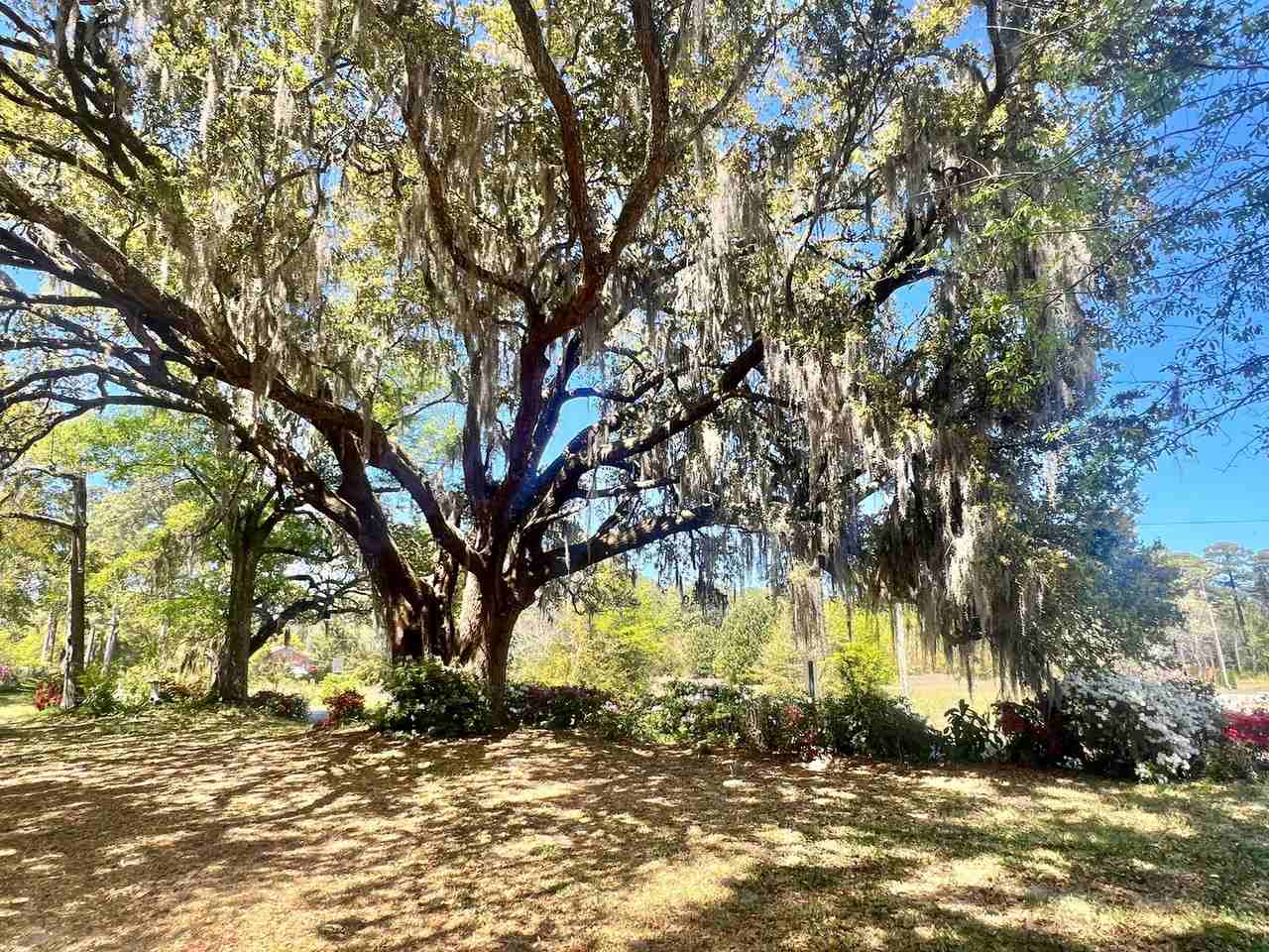 5216 Peden Point Rd - Photo 3 of 37