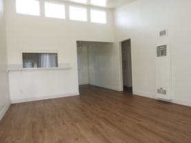 4850orch - Photo 1 of 1