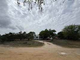 featured image of 230 Saddle Dr