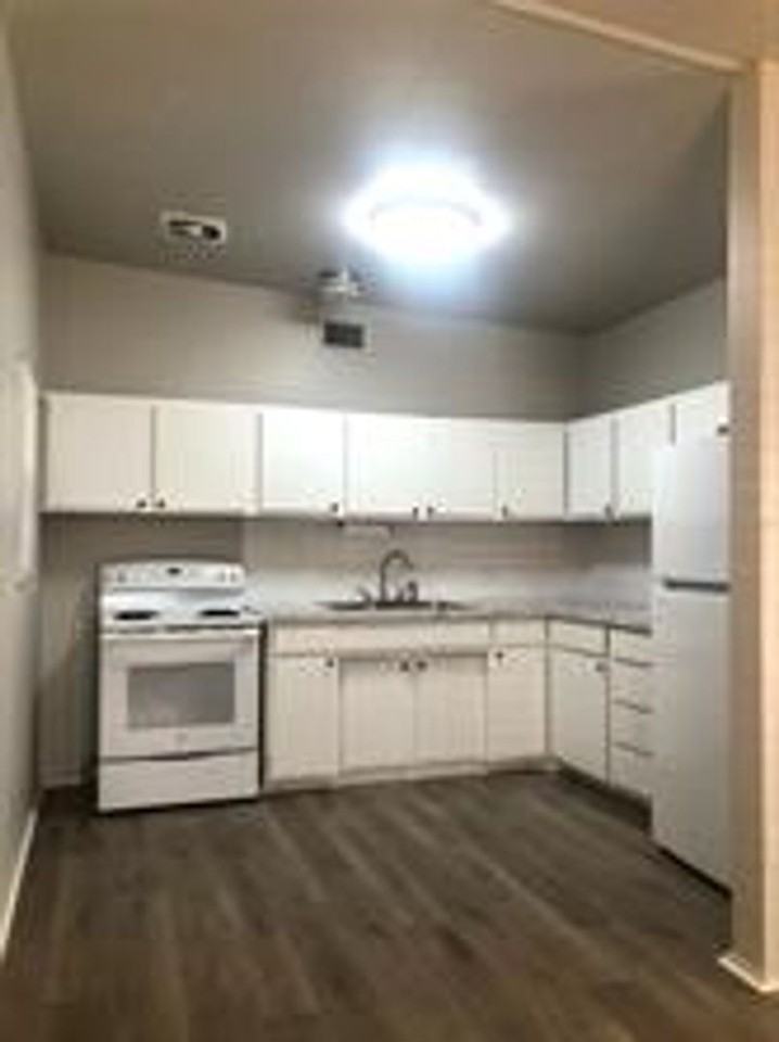 905 Cherokee Cir - Photo 3 of 15