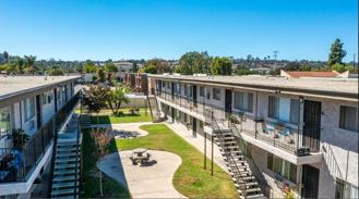 948 Sunshine_Bb - Photo 1 of 1