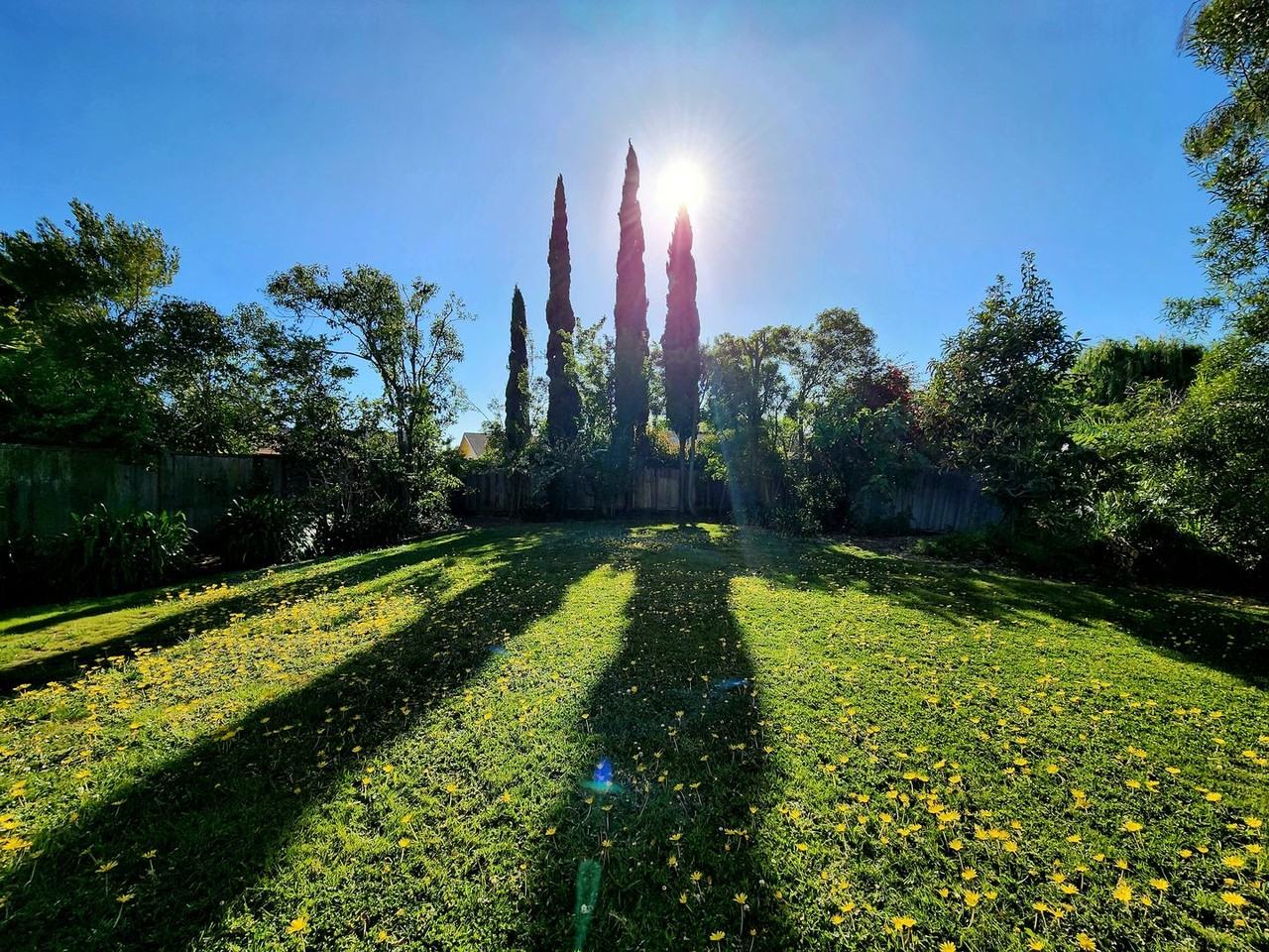 577 Seahorse Ln - Photo 4 of 48