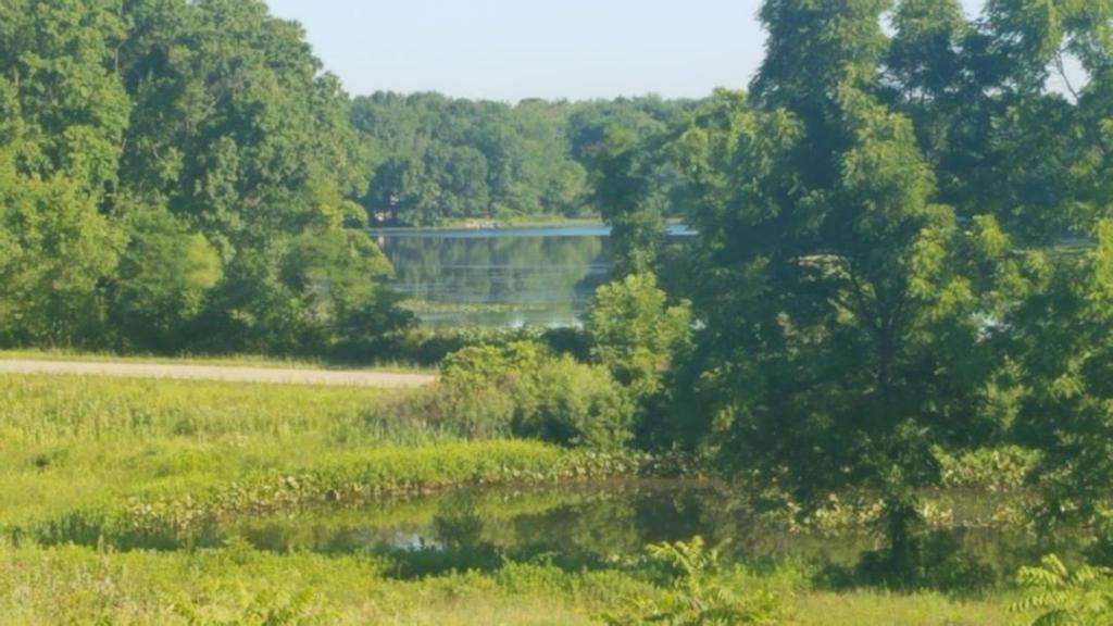 26529 Dutch Settlement St #5 - Photo 2 of 15