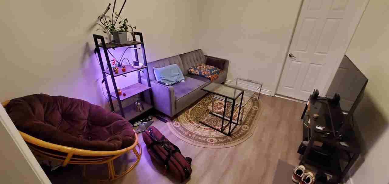 Euclid Ave & Dundas St W - Photo 4 of 18