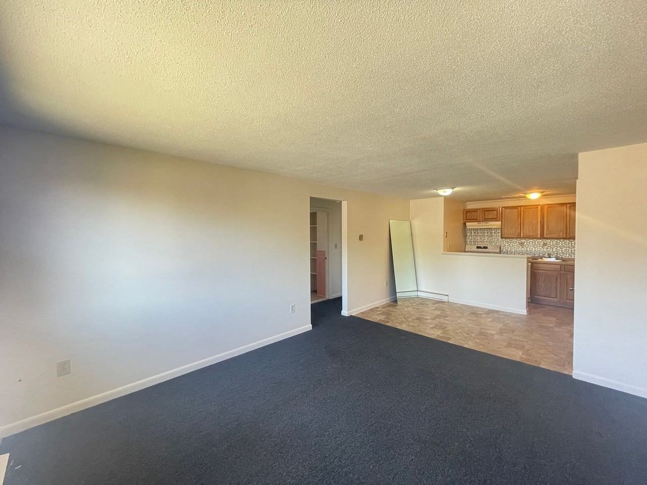 173 Loudon Rd #411 - Photo 6 of 17