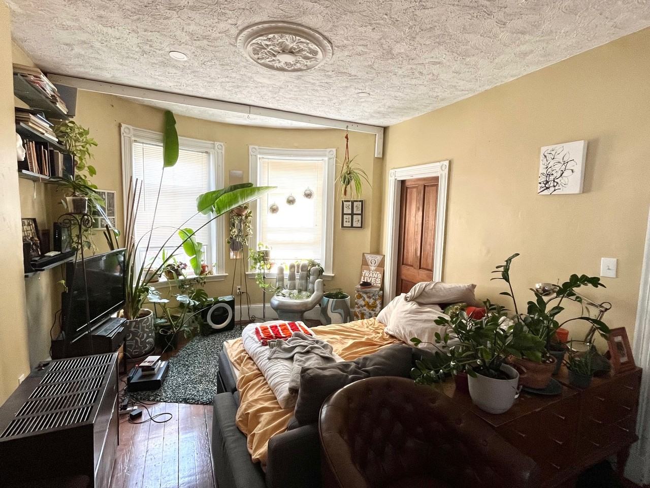 7 Kenney St #2 - Photo 5 of 10