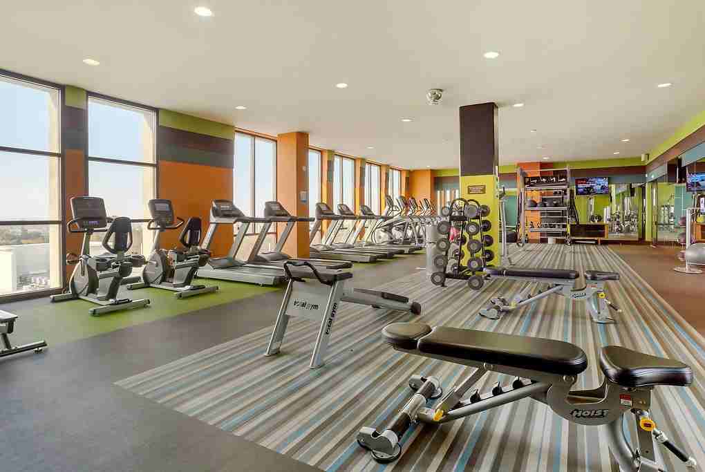 Apex - Photo 5 of 46