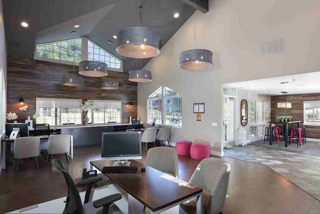 Bel Air - Photo 5 of 50