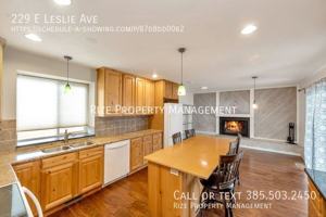 featured image of 229 E Leslie Ave