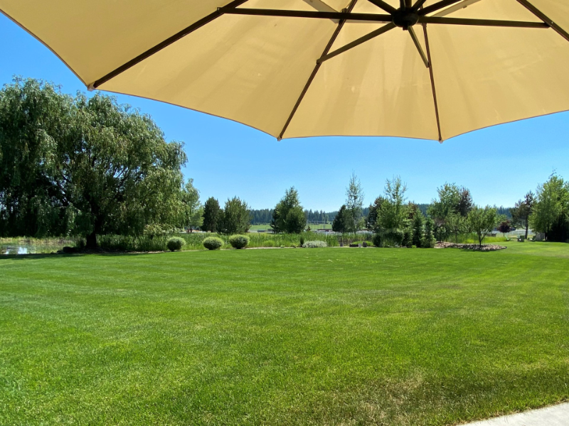 3071 River Lakes Dr - Photo 5 of 36