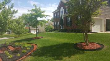 featured image of 8603 Dorian Ln