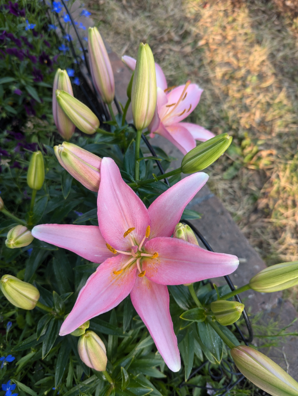 220 Baranof Ave #1 - Photo 2 of 15