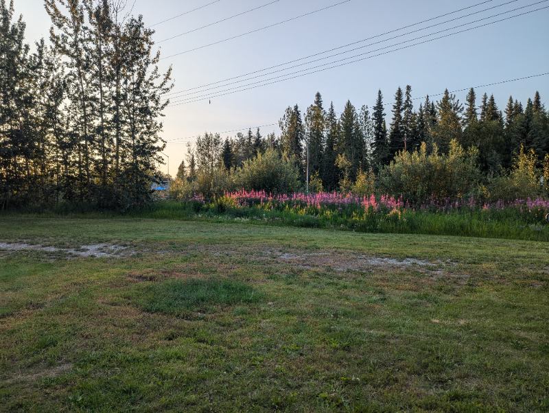 220 Baranof Ave #1 - Photo 5 of 15