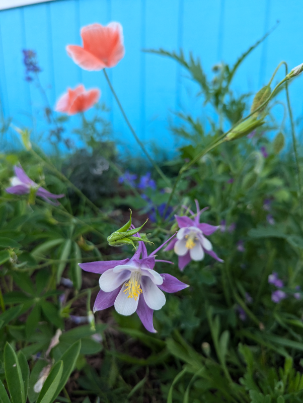 220 Baranof Ave #1 - Photo 7 of 15