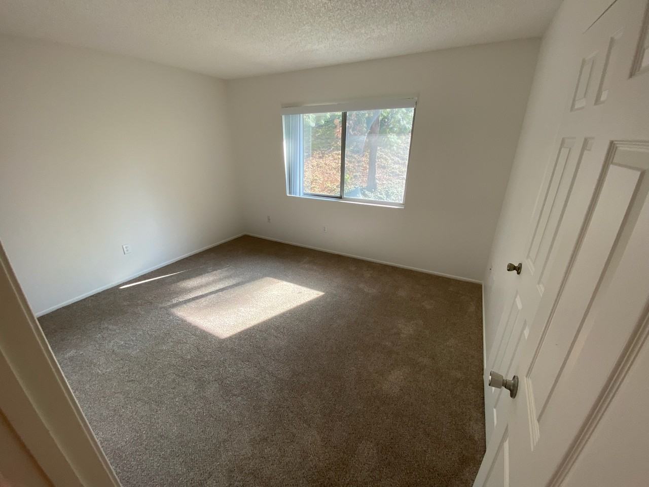 4265 Mesa Vista Way - Photo 2 of 12