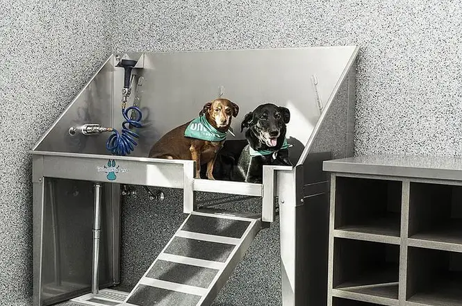 615 East Carson Street, Unit 450 - Photo 5 of 22