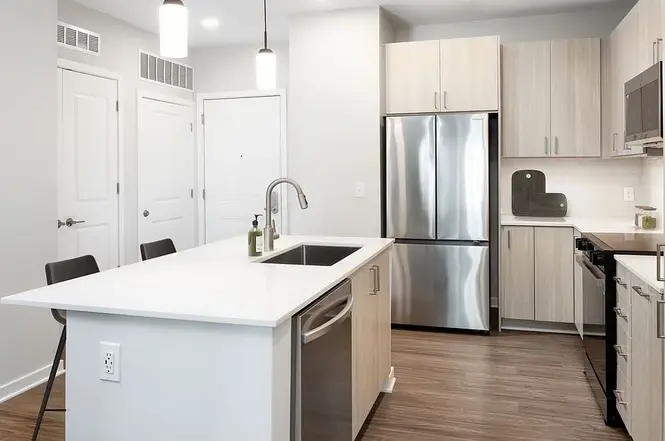 615 East Carson Street, Unit 450 - Photo 7 of 22