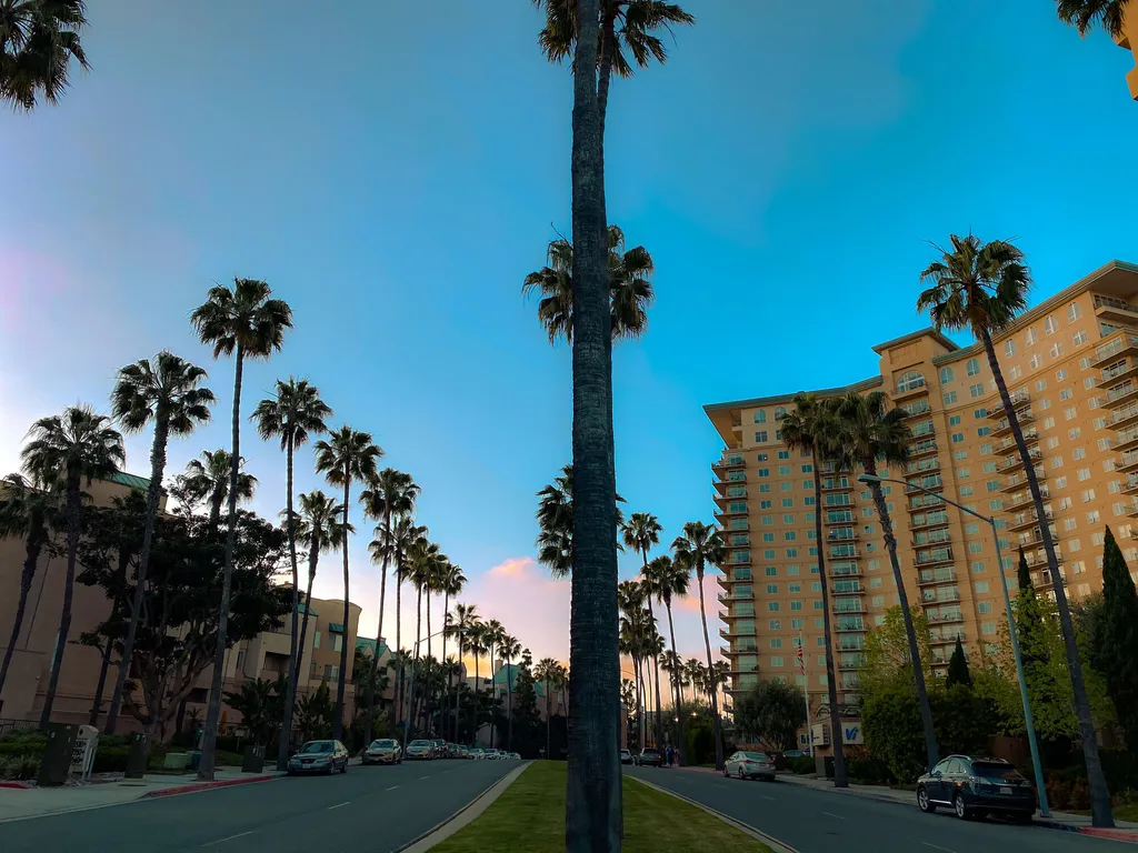 4085-4089 Nobel Drive, Unit 52 - Photo 6 of 20