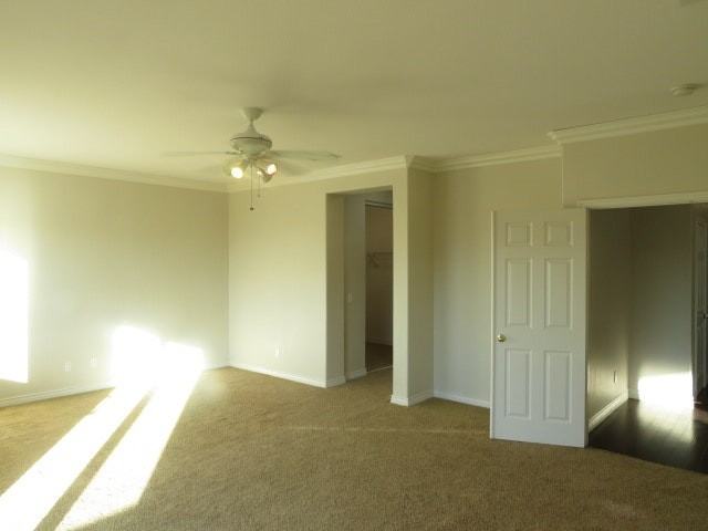 32916 Vine Street - Photo 6 of 50