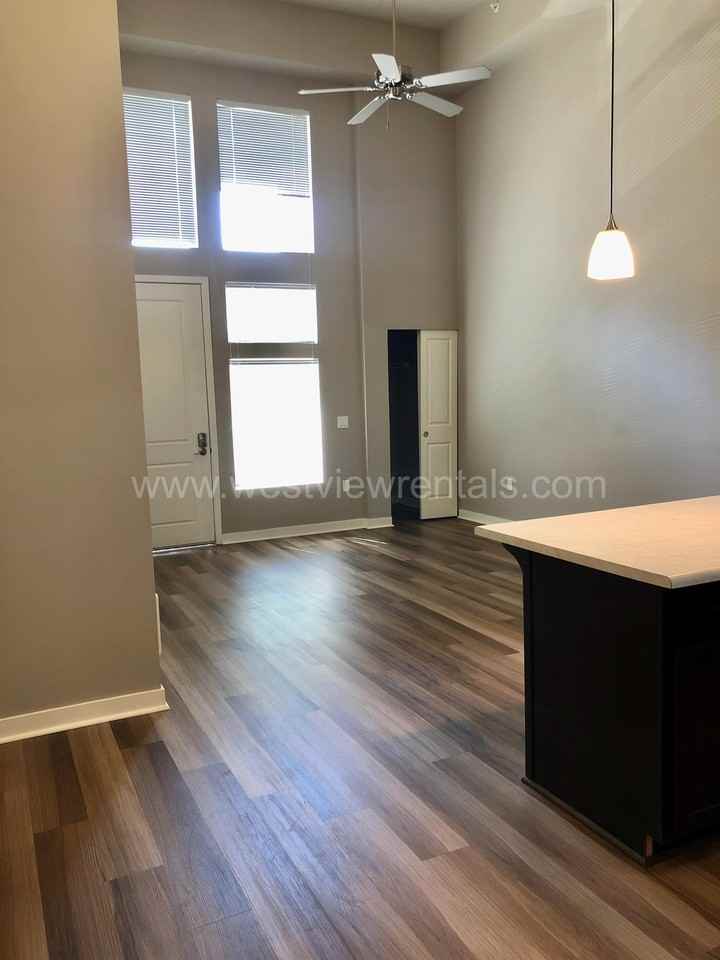 Condor - Photo 5 of 50