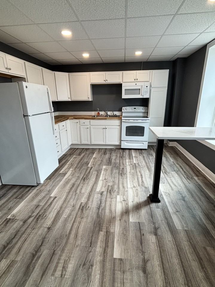 1425 / 616 Clinton Street - Photo 4 of 9