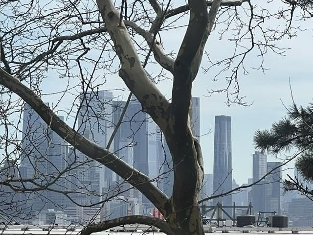 7002 Kennedy Blvd E #8S - Photo 7 of 24