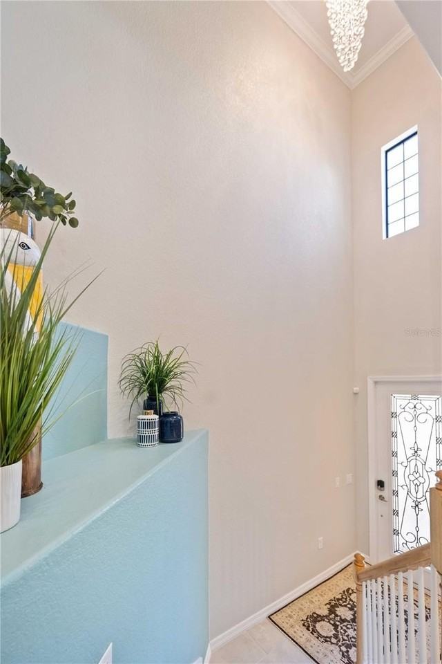 10817 Tarflower Dr #201 - Photo 2 of 50