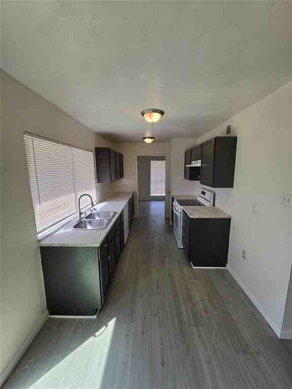 9804 Sophora Cir - Photo 3 of 12