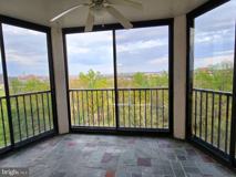 5903 Mount Eagle Dr Apt 802 #802 - Photo 1 of 1