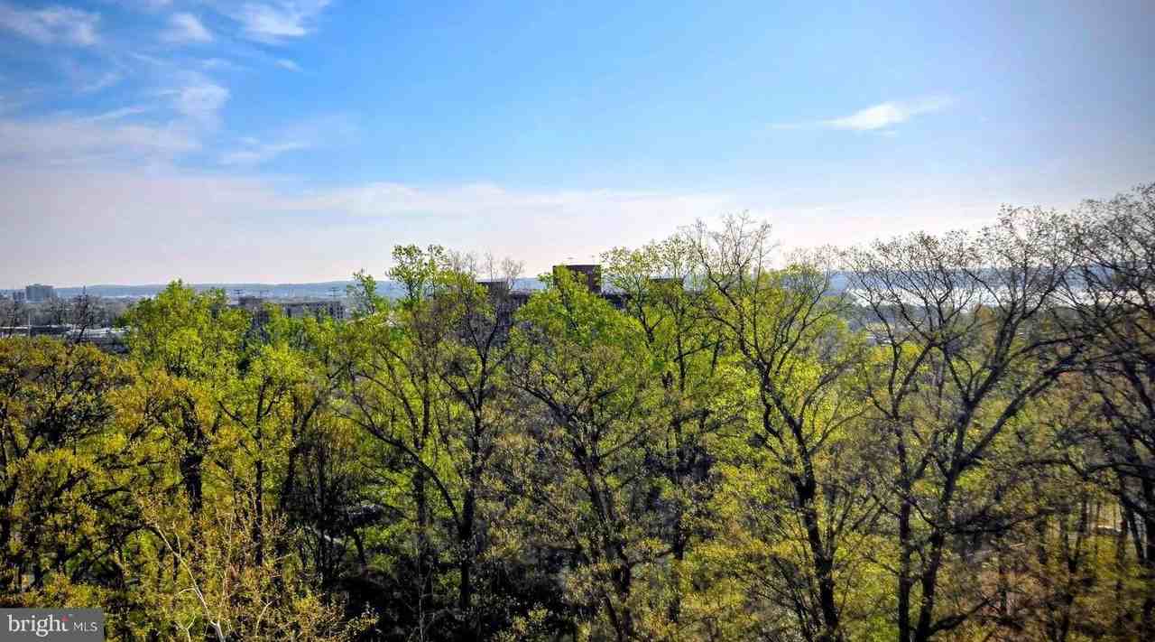 5903 Mount Eagle Dr Apt 802 #802 - Photo 5 of 49