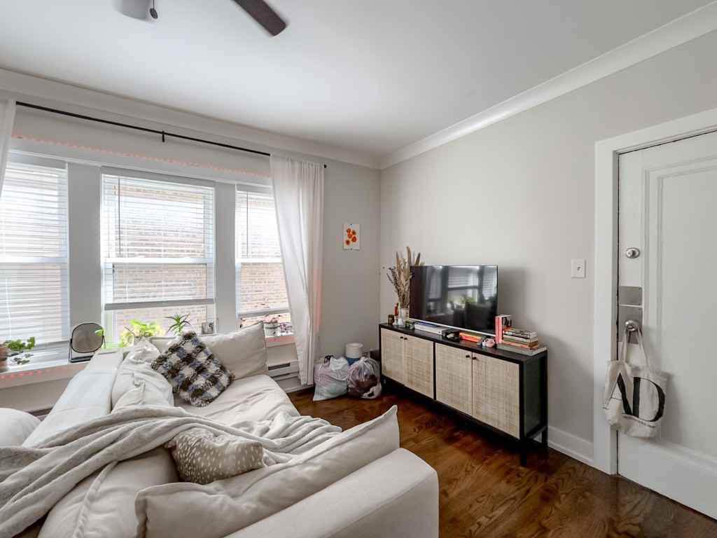 648 W Roscoe St #2N - Photo 6 of 21