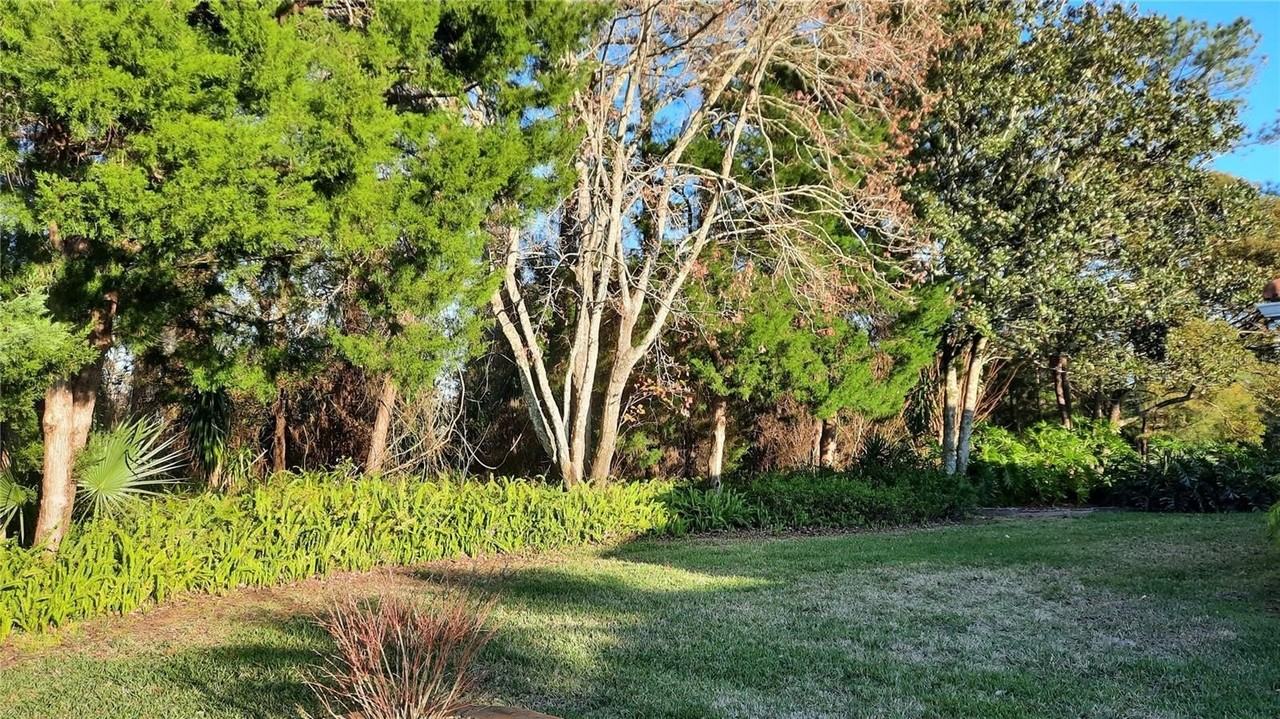 58 Burning Bush Dr - Photo 6 of 50