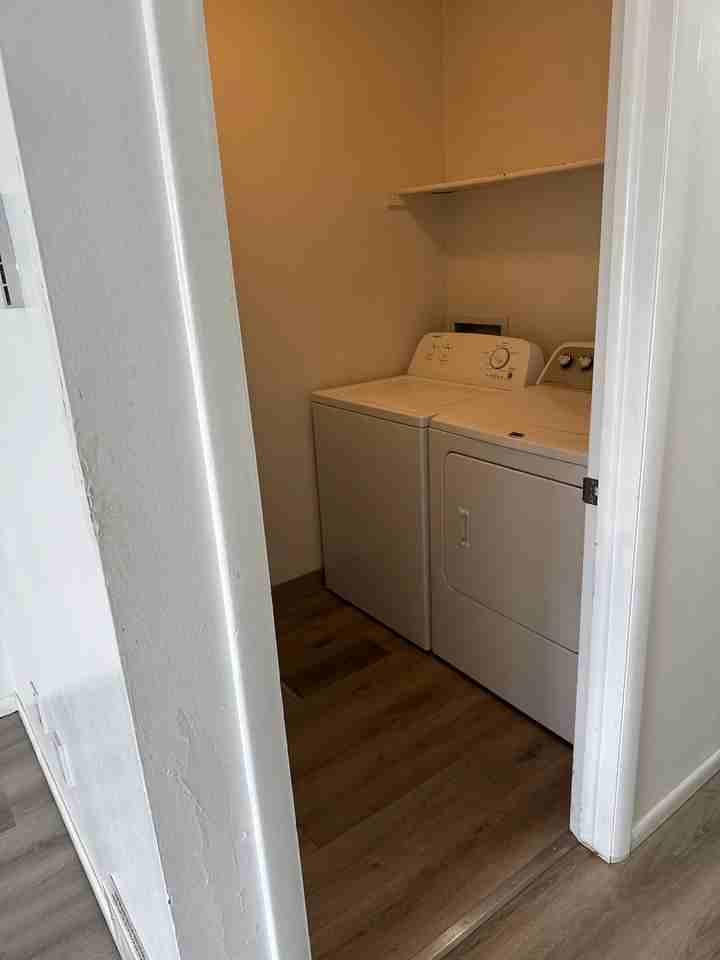 2345 Stace St #2 - Photo 7 of 14