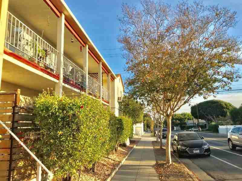 2300 Oak St #5 - Photo 3 of 11