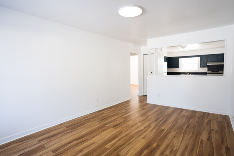 903 Doro Ln - Photo 4 of 18