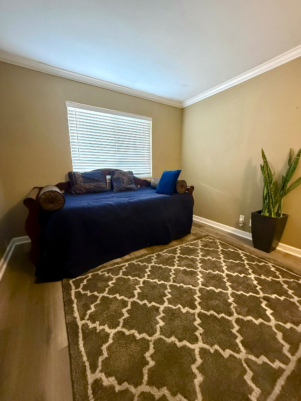 341 Avenida Pinos - Photo 3 of 18