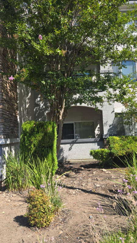 701 Gibson Dr #2013 - Photo 2 of 18