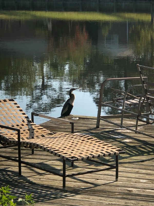 2755 Colonies Dr - Photo 2 of 20