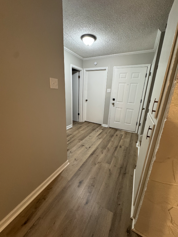 1580 Us Hwys #3 - Photo 4 of 18