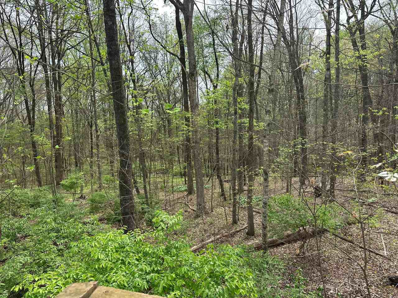 833 Lovell Rd #A - Photo 6 of 18