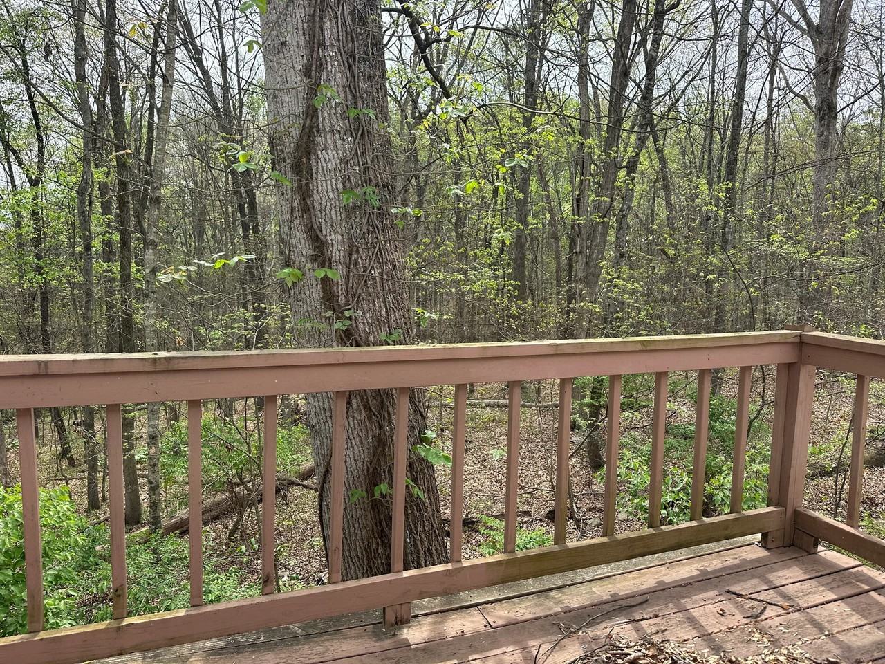 833 Lovell Rd #A - Photo 7 of 18