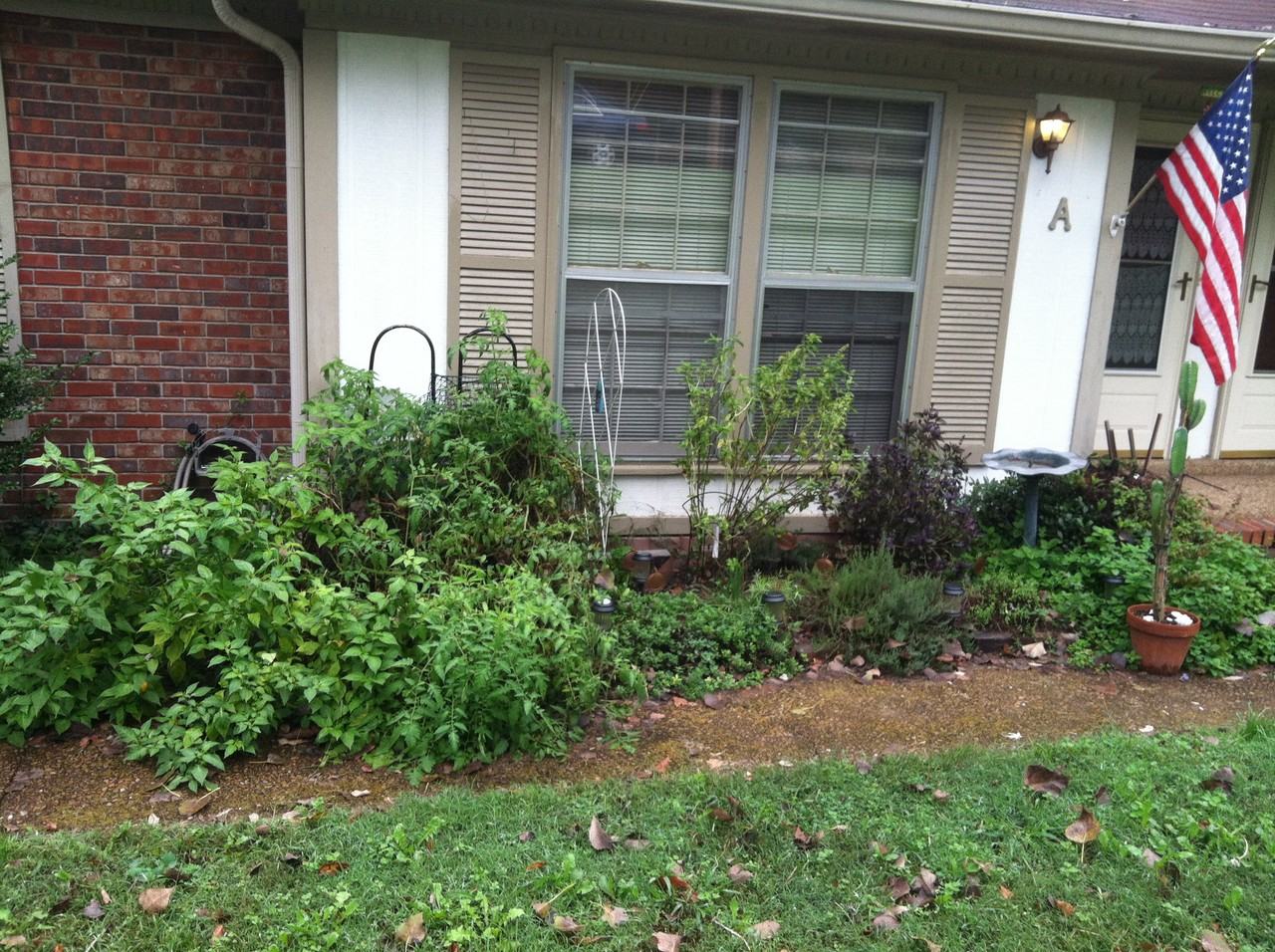 245 Hickorydale Dr #A - Photo 3 of 6